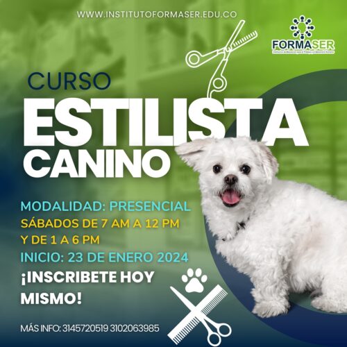 INSTITUTO FORMASER CURSO ESTILISTA CANINO