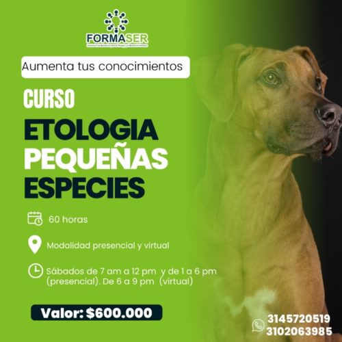 INSTITUTO FORMASER CURSO ETOLOGÍA PEQUEÑAS ESPECIES NOVIEMBRE 2023 2